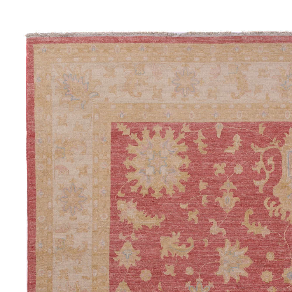 Ziegler Teppich 256x367cm - Orientteppich