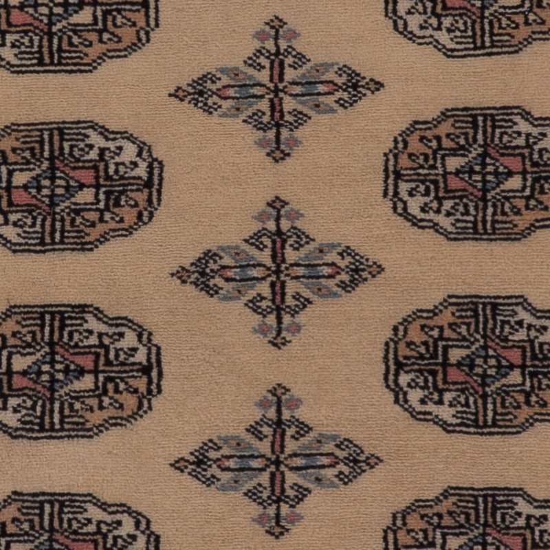 Pakistan Teppich 152x97cm - Orientteppich