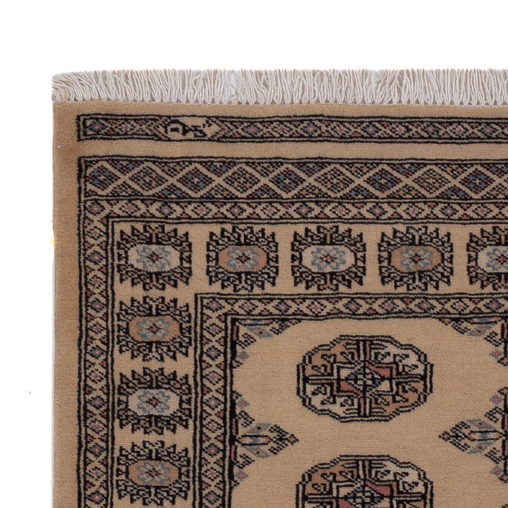 Pakistan Teppich 152x97cm - Orientteppich