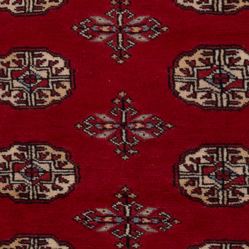 Pakistan Teppich 160x93cm - Orientteppich