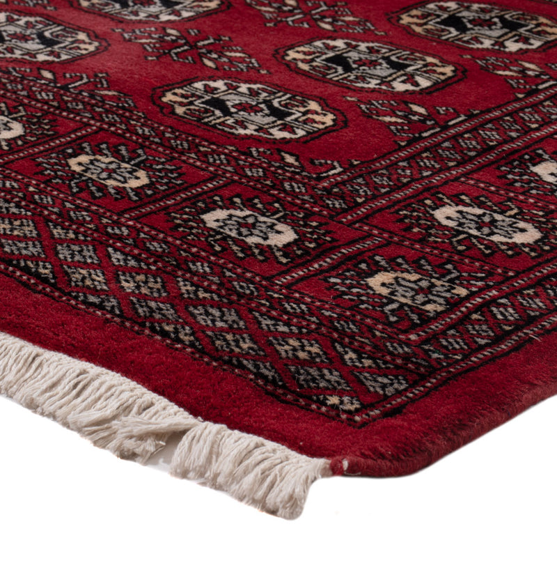Pakistan Teppich 93x154cm - Orientteppich