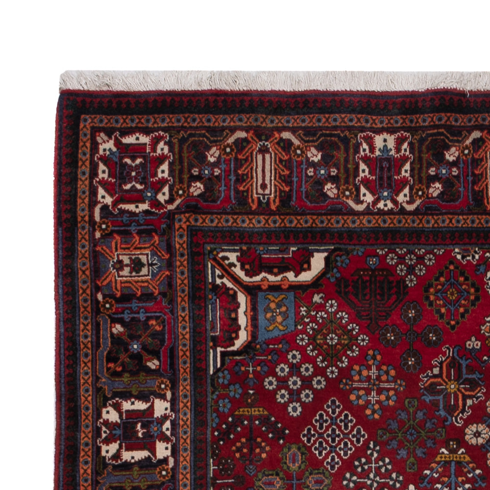 Meymeh Teppich 248x160cm - Perserteppich