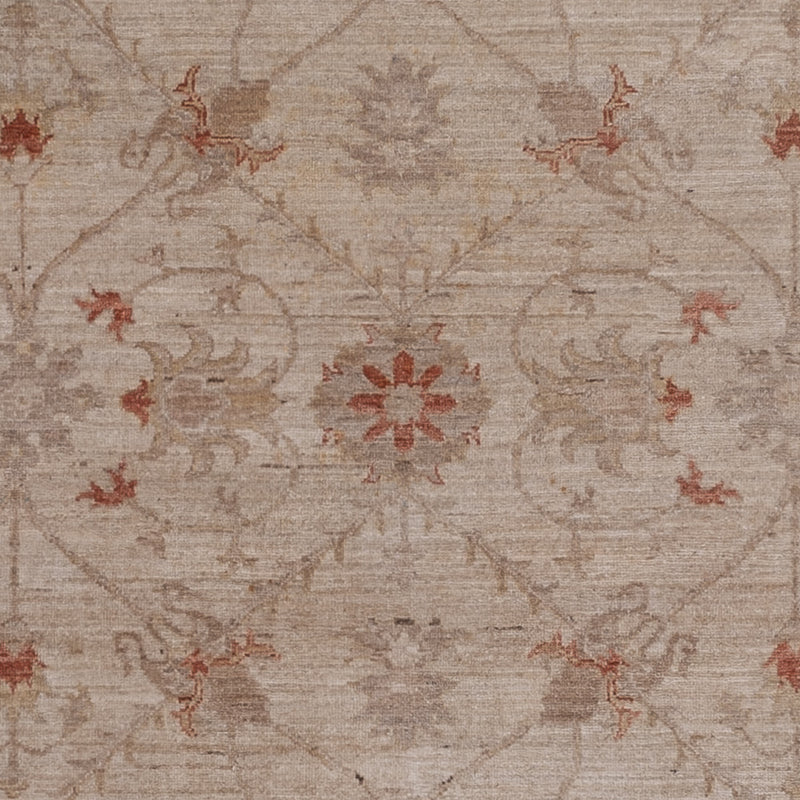 Ziegler Teppich 302x244cm - Orientteppich