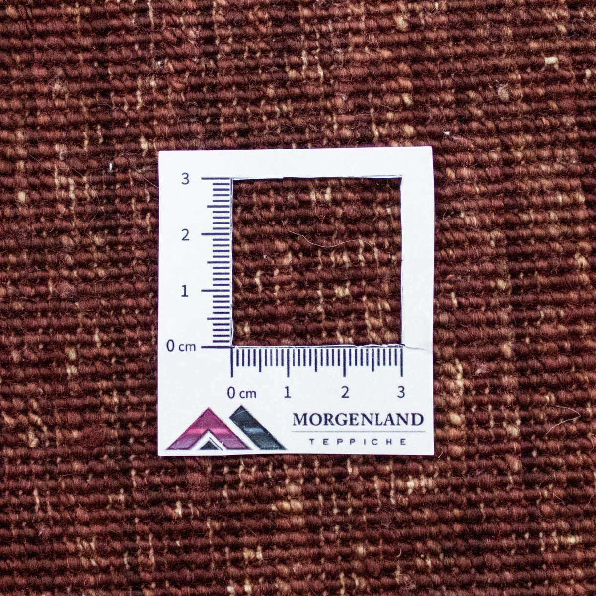 Ziegler teppich - Bachtiari 237 x 172 cm - bunt