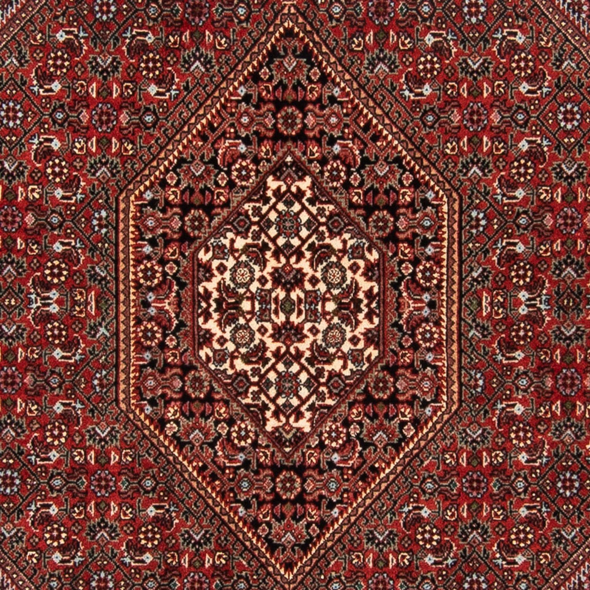Perserteppich - Bidjar - Royal - 140 x 92 cm - rot