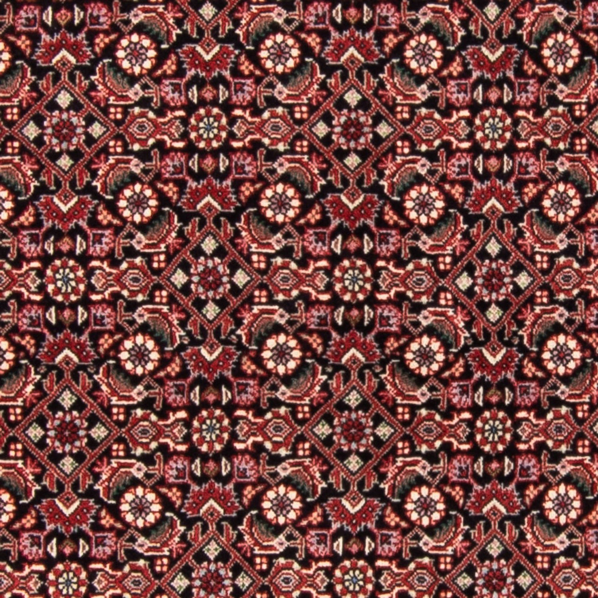 Perserteppich - Bidjar - Royal - 163 x 111 cm - dunkelblau