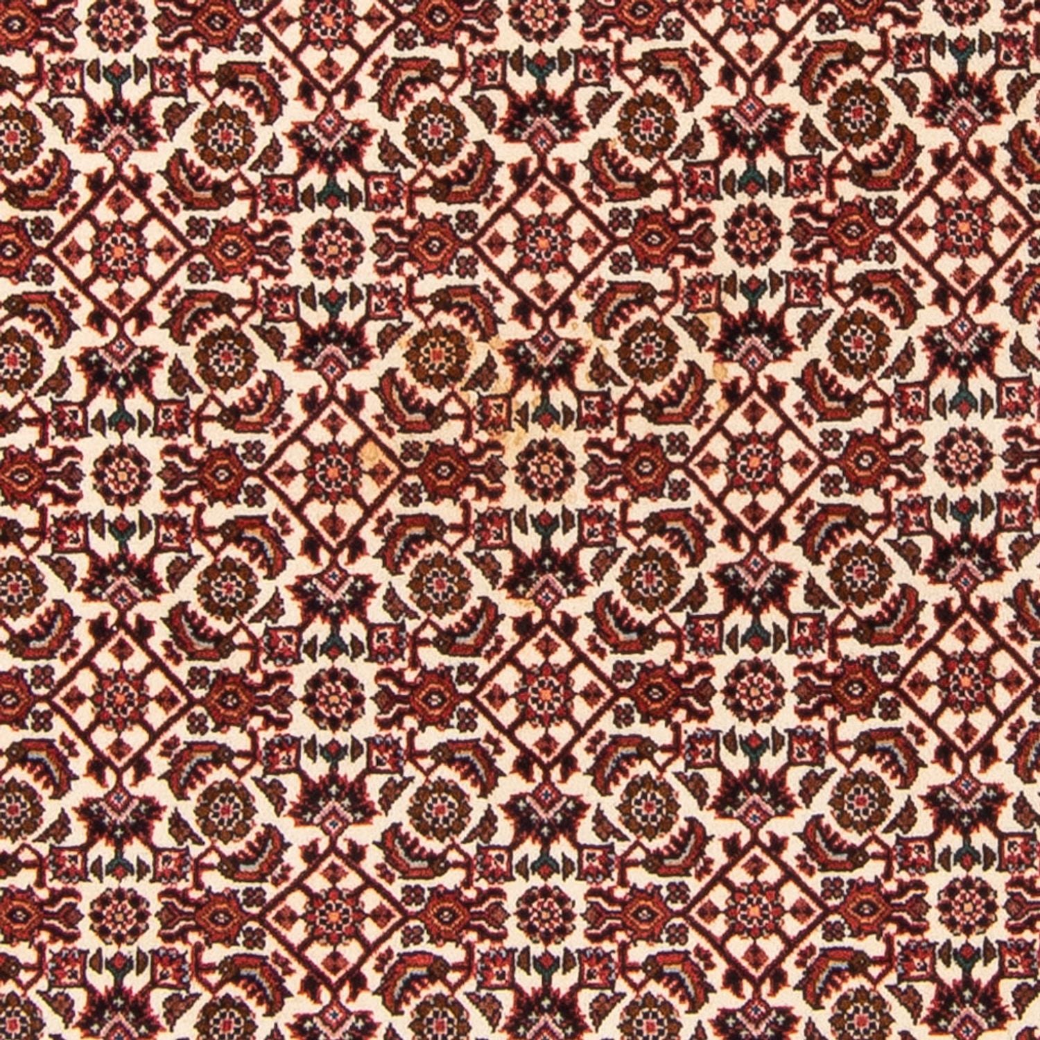 Perserteppich - Bidjar - Royal - 181 x 110 cm - beige