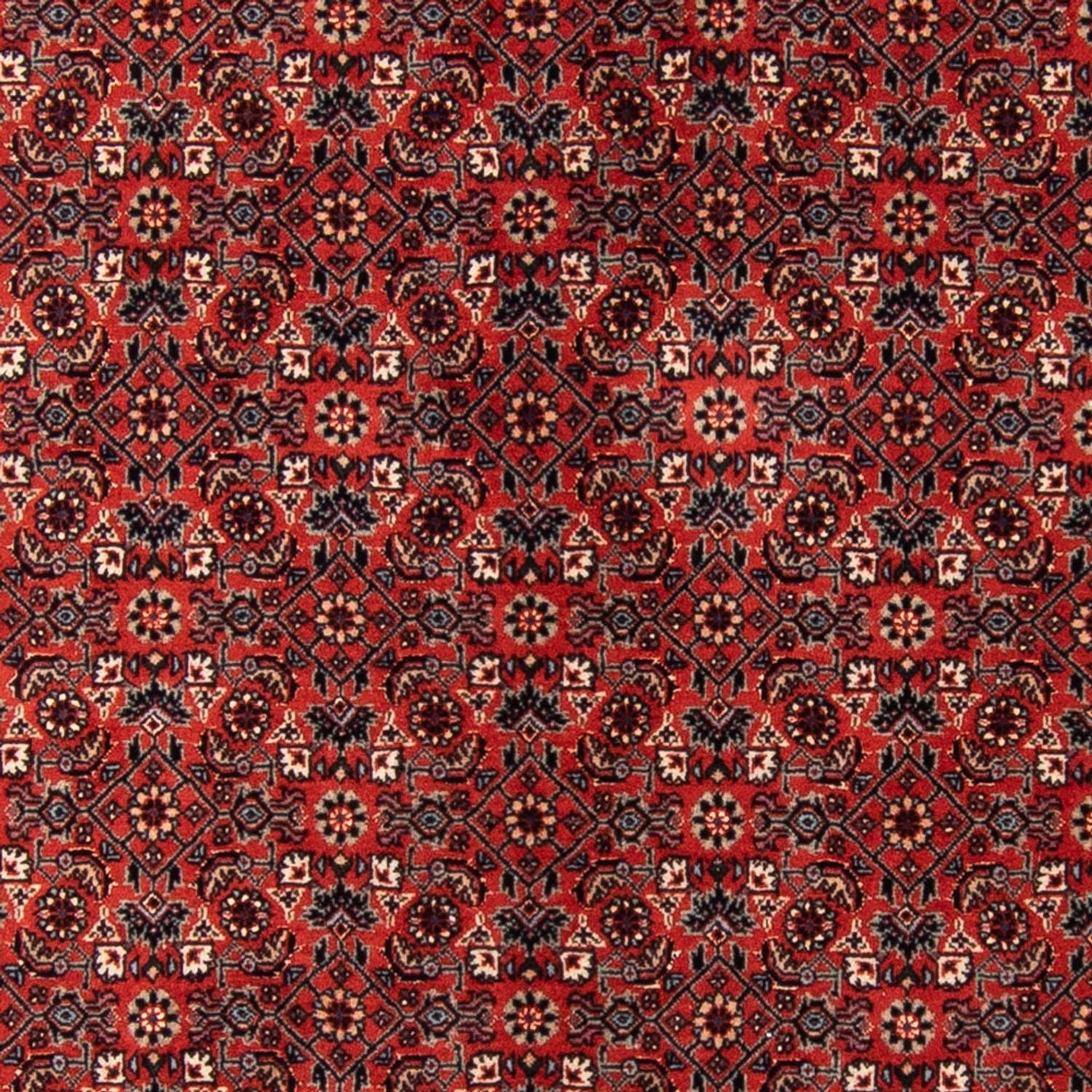 Läufer Perser - Bidjar - Royal - 205 x 102 cm - rot