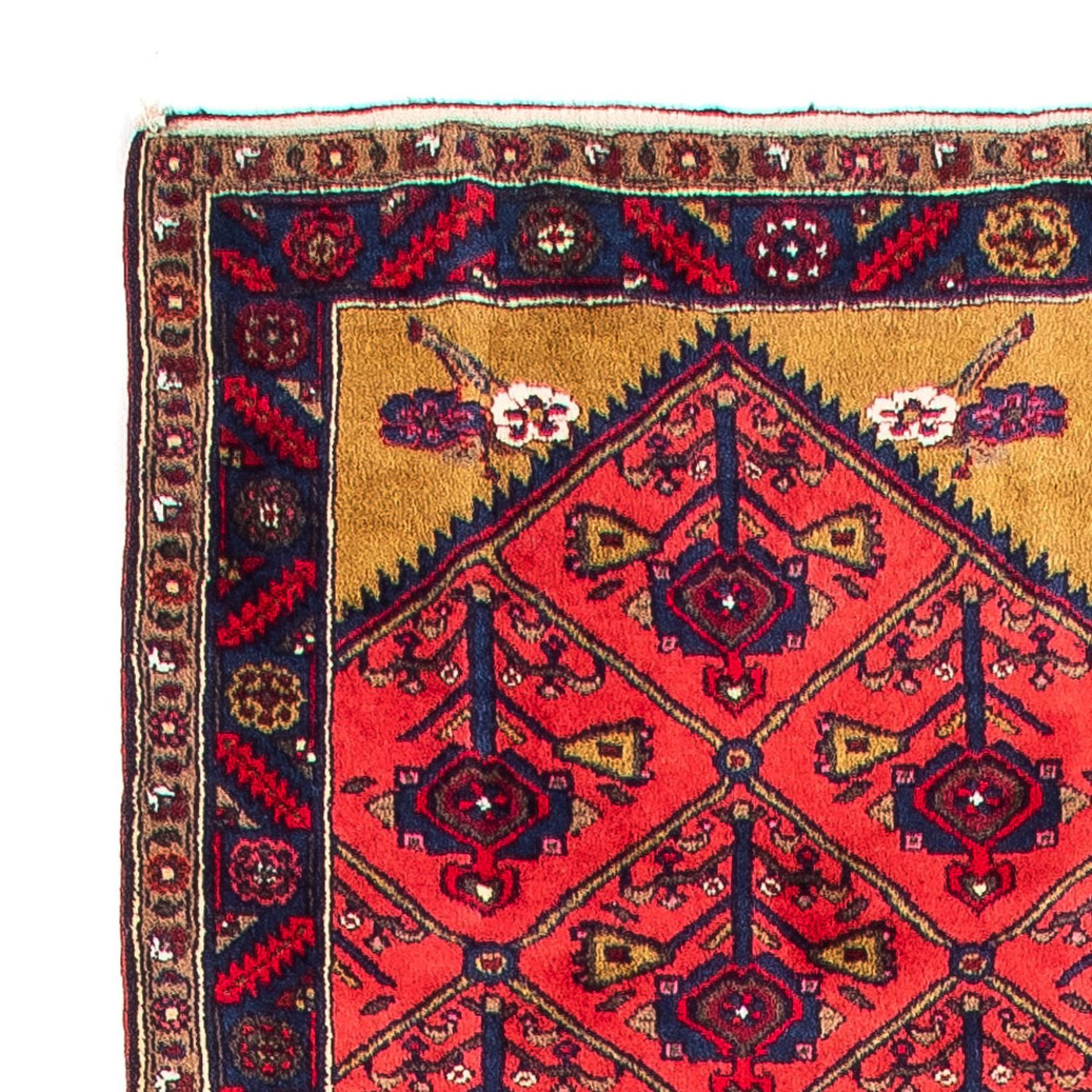 Kolyai Teppich 688x83cm - Perserteppich