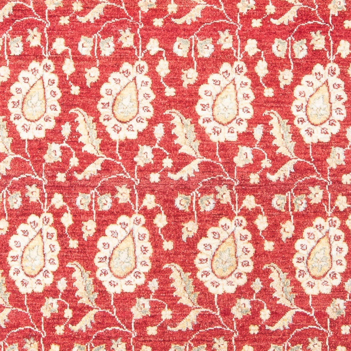 Ziegler Teppich 121x174cm - Orientteppich
