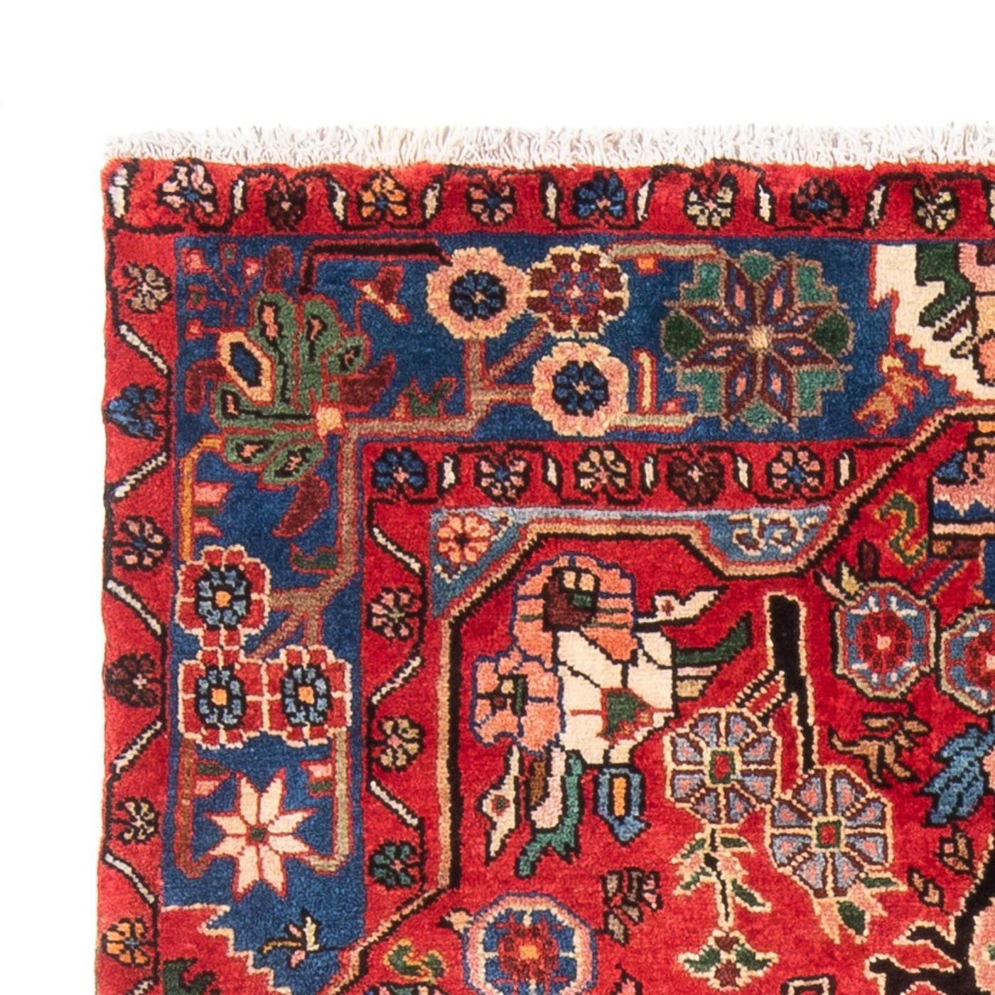 Nahavand Teppich 171x119cm - Perserteppich