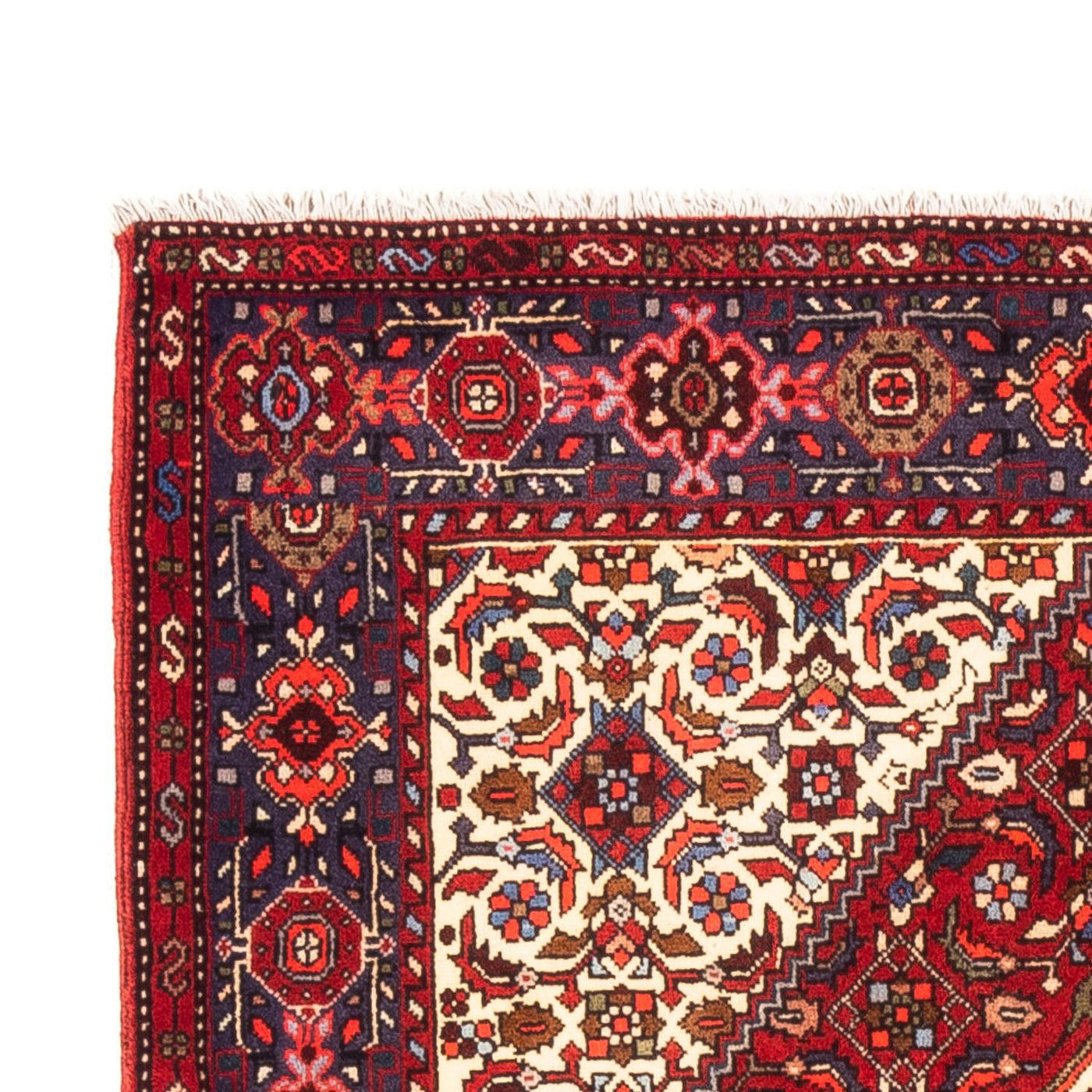 Gholtogh Teppich 155x100cm - Perserteppich