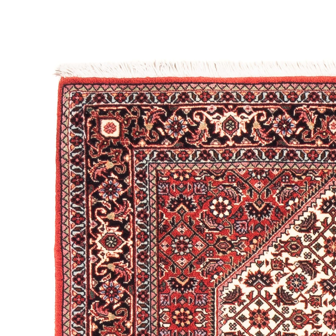 Bidjar - Takab Teppich  - Perserteppich