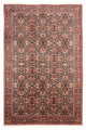 Perserteppich - Bidjar - 305 x 200 cm - dunkelblau