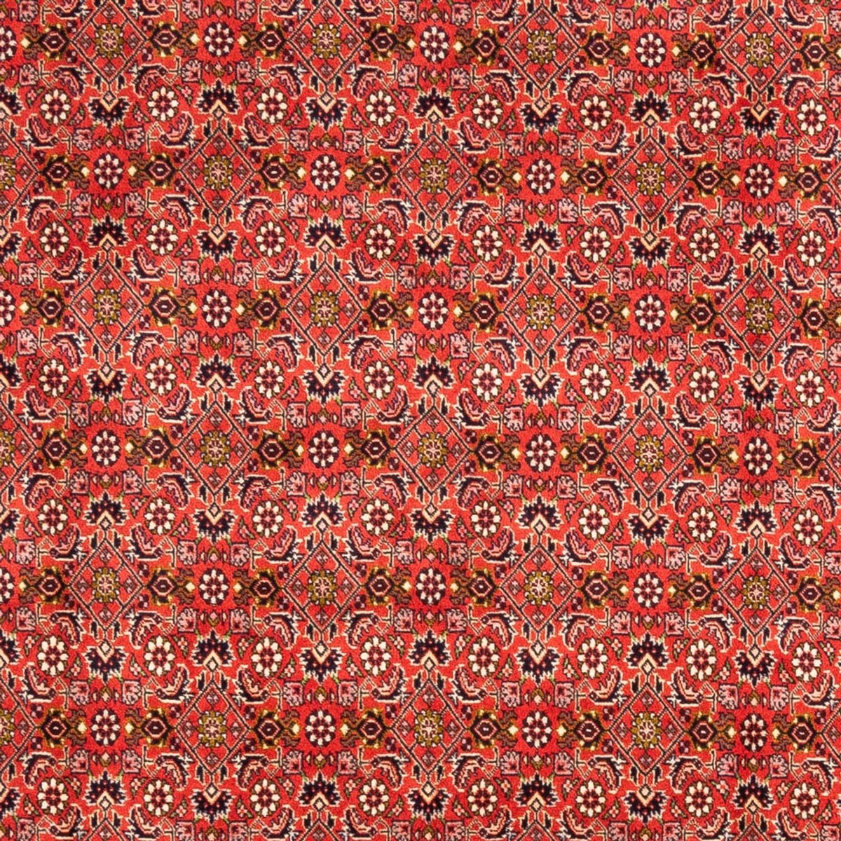 Perserteppich - Bidjar - Royal - 242 x 168 cm - rot