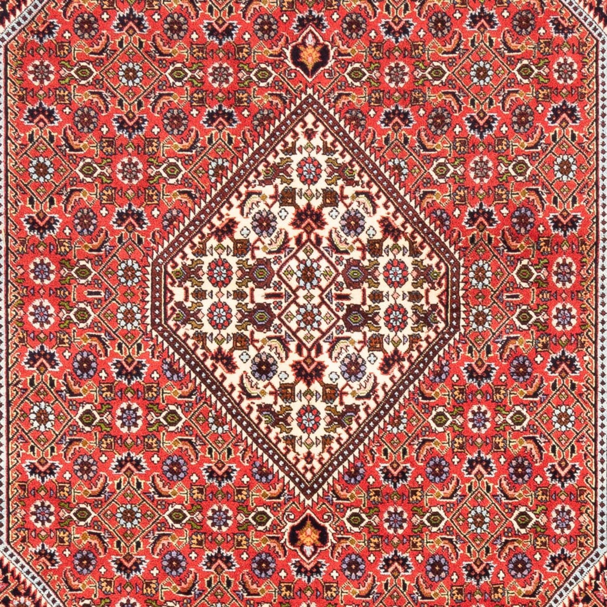 Perserteppich - Bidjar - Royal - 247 x 168 cm - rot