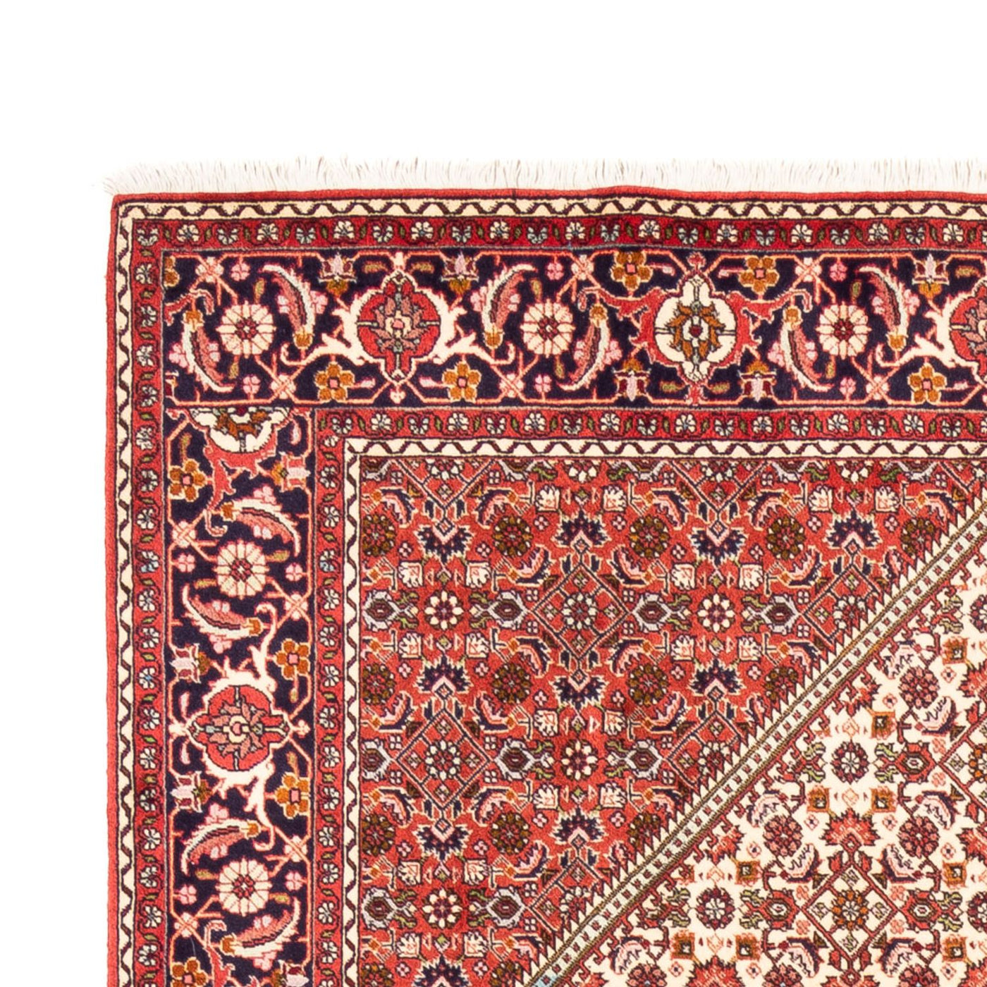 Bidjar - Bukan Teppich 249x170cm - Perserteppich
