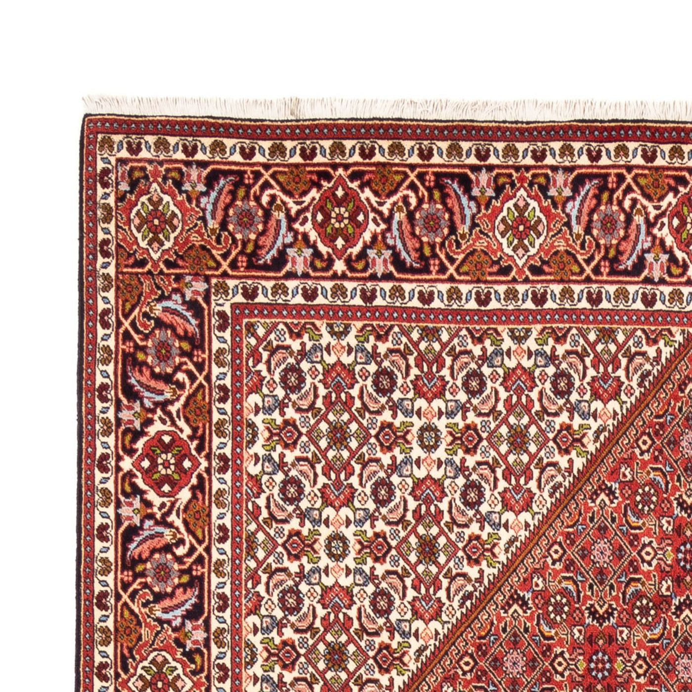 Bidjar - Bukan Teppich 247x172cm - Perserteppich
