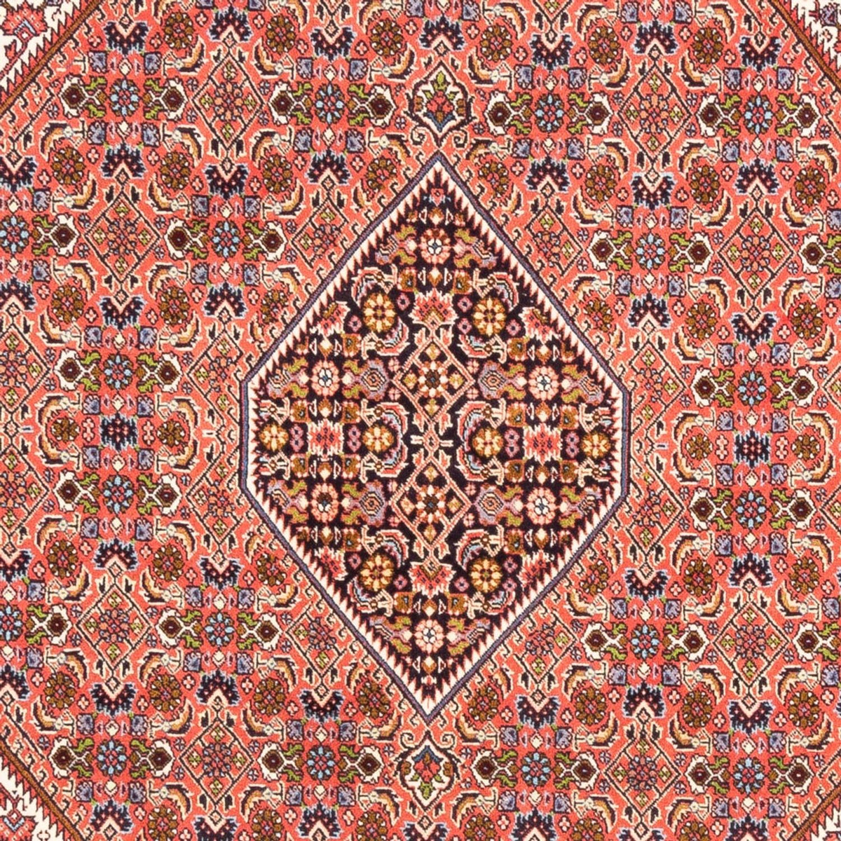 Perserteppich - Bidjar - Royal - 247 x 172 cm - rot