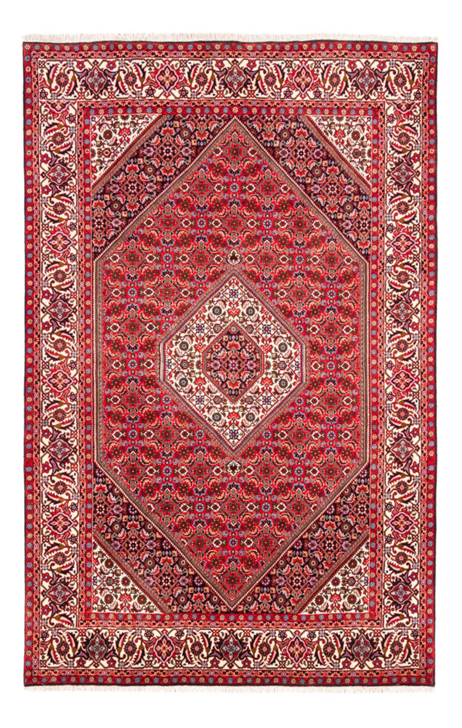 Perserteppich - Bidjar - 253 x 170 cm - rot