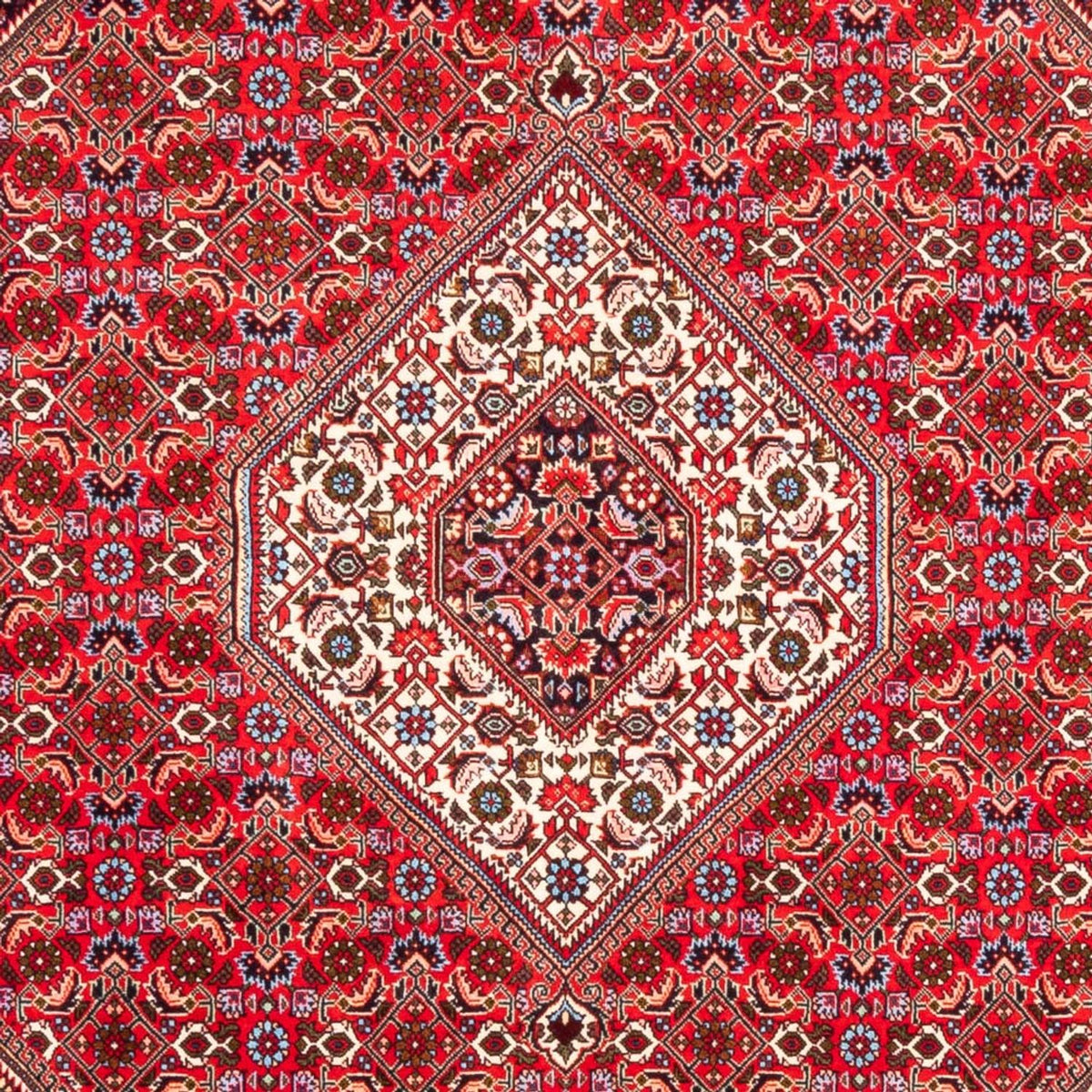 Perserteppich - Bidjar - 253 x 170 cm - rot