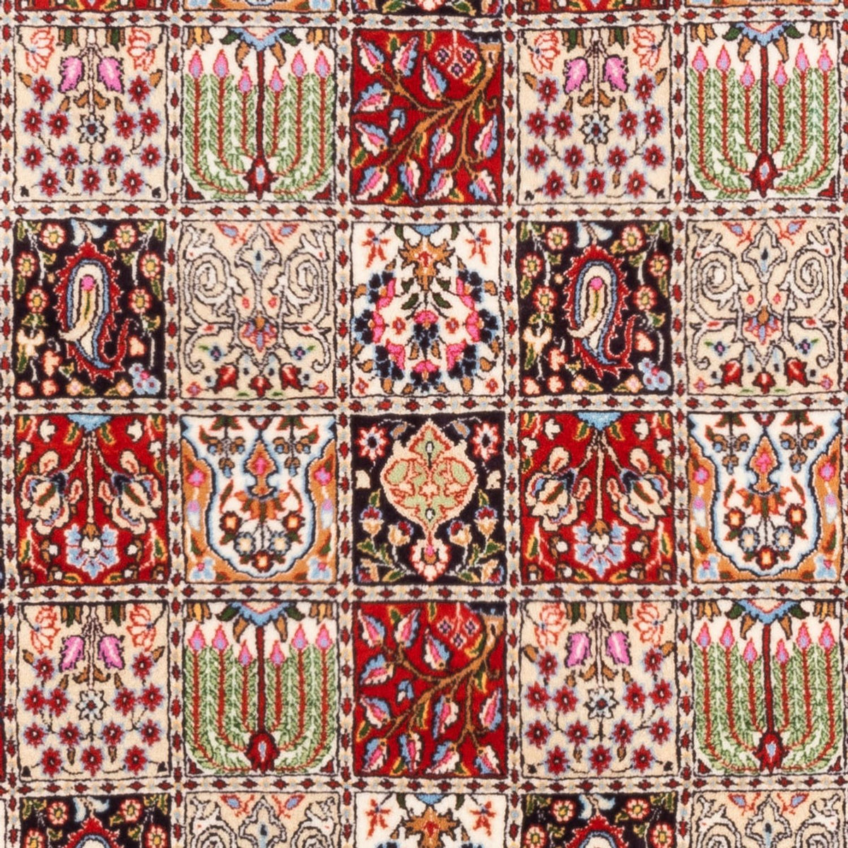 Perserteppich - Classic - 244 x 165 cm - mehrfarbig