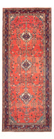 Kolyai Teppich 311x126cm - Perserteppich