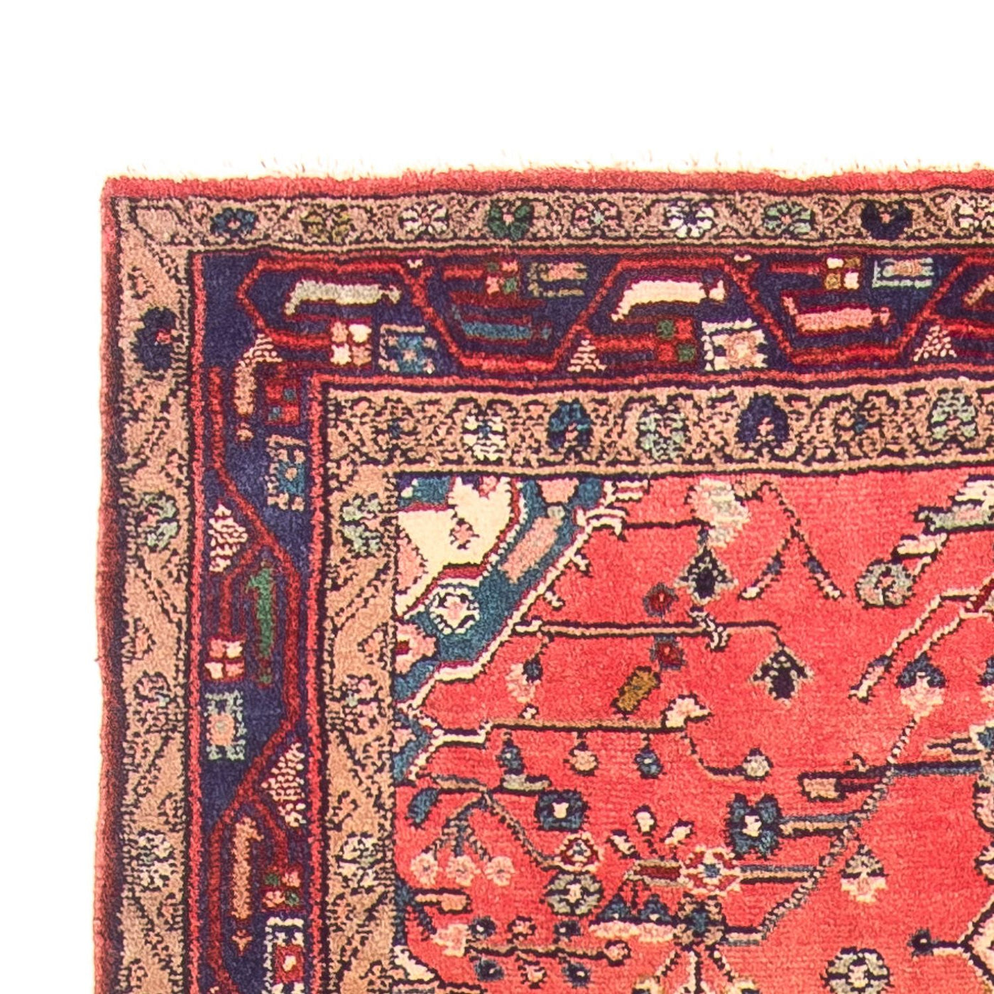 Kolyai Teppich 311x126cm - Perserteppich