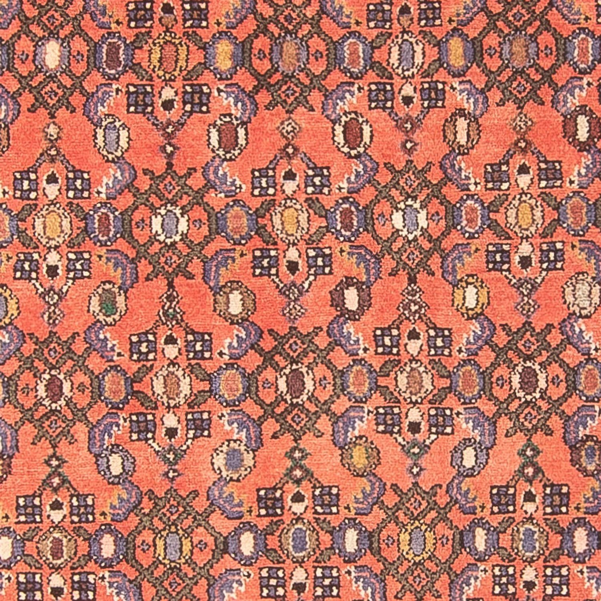 Läufer Perser - Nomadic - 270 x 125 cm - rot