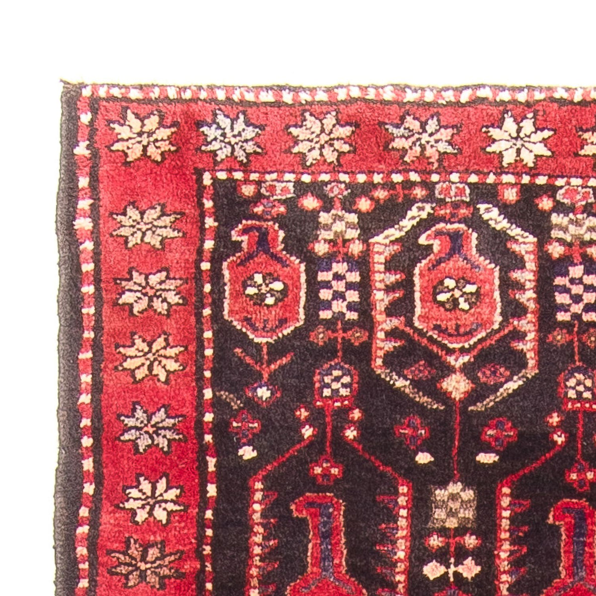 Kolyai Teppich 100x287cm - Perserteppich
