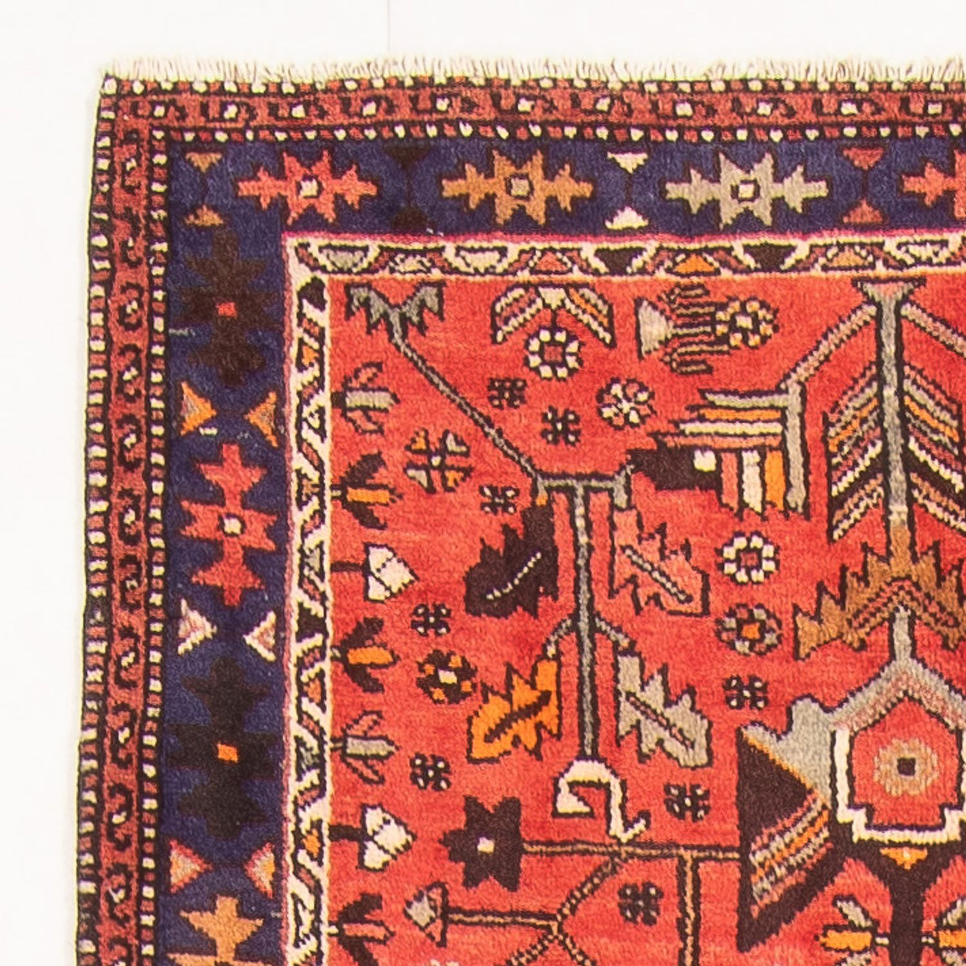 Bidjar - Zanjan Teppich  - Perserteppich