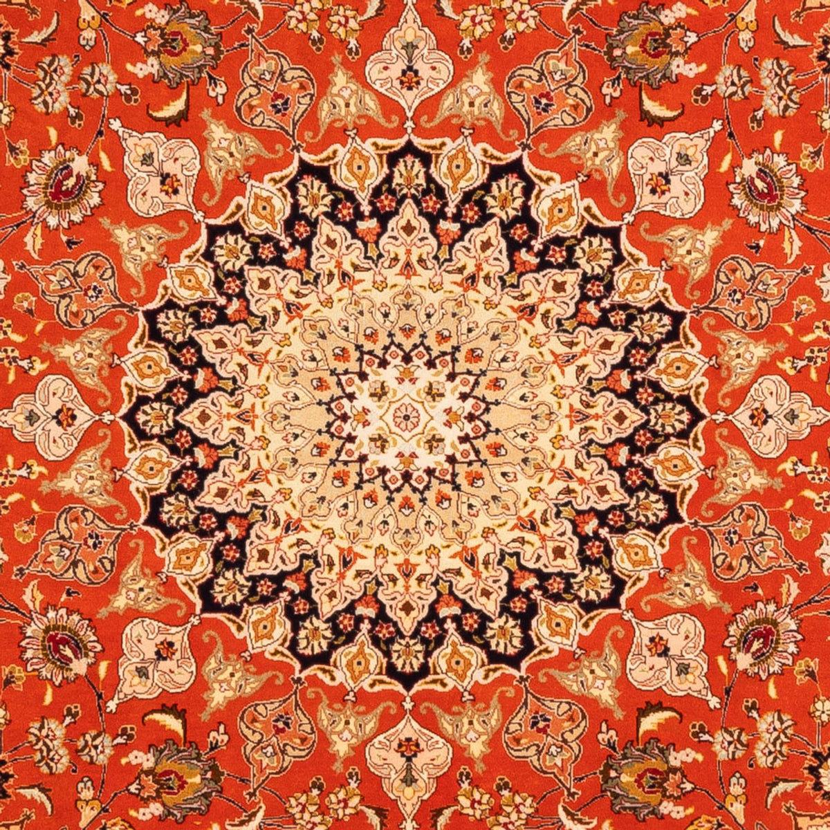 Perserteppich - Täbriz quadratisch  - 253 x 249 cm - orange