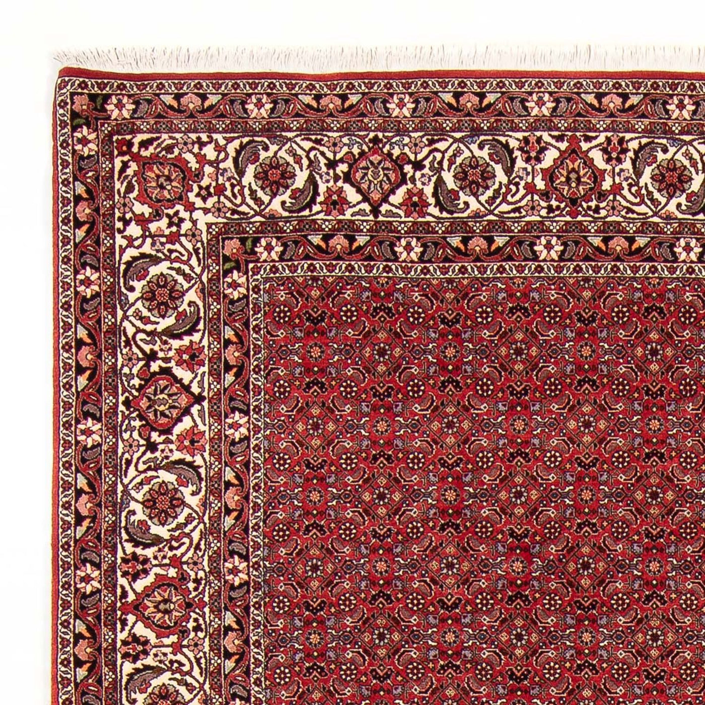 Bidjar Teppich 272x217cm - Perserteppich