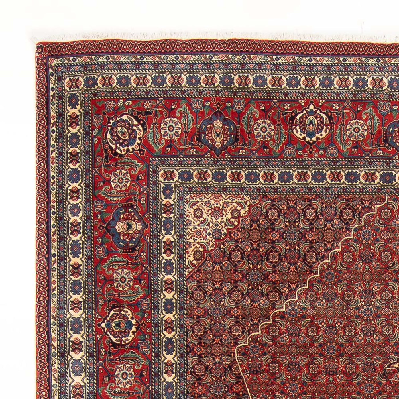 Täbriz - 50 Raj Teppich 290x202cm - Perserteppich