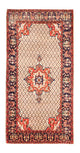 Kolyai Teppich 310x155cm - Perserteppich