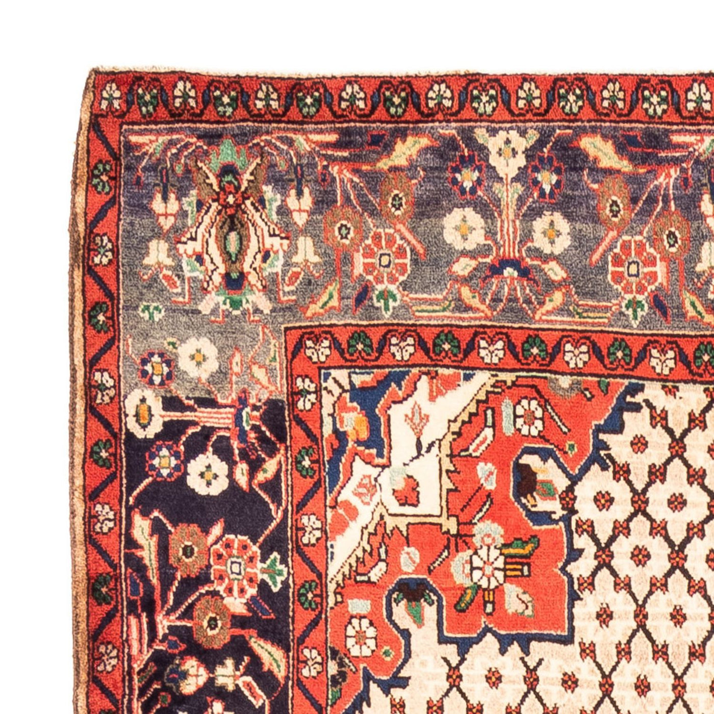 Kolyai Teppich 310x155cm - Perserteppich
