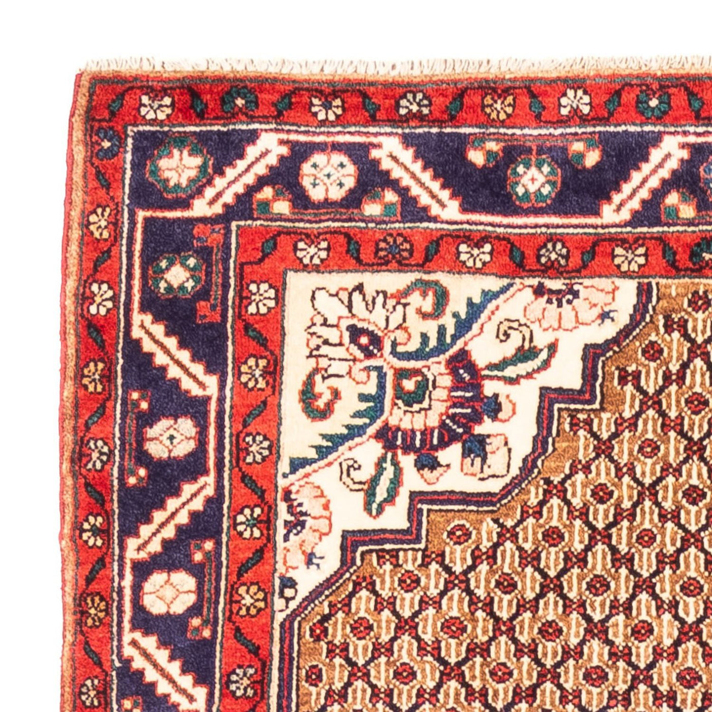 Kolyai Teppich 277x153cm - Perserteppich