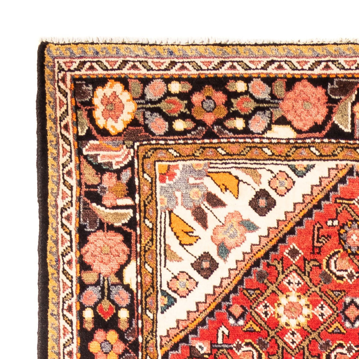 Hosseinabad Teppich 160x315cm - Perserteppich