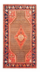 Kolyai Teppich 265x157cm - Perserteppich