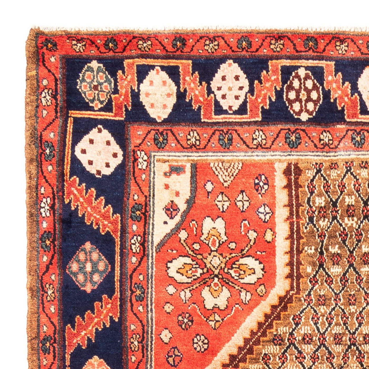 Kolyai Teppich 265x157cm - Perserteppich