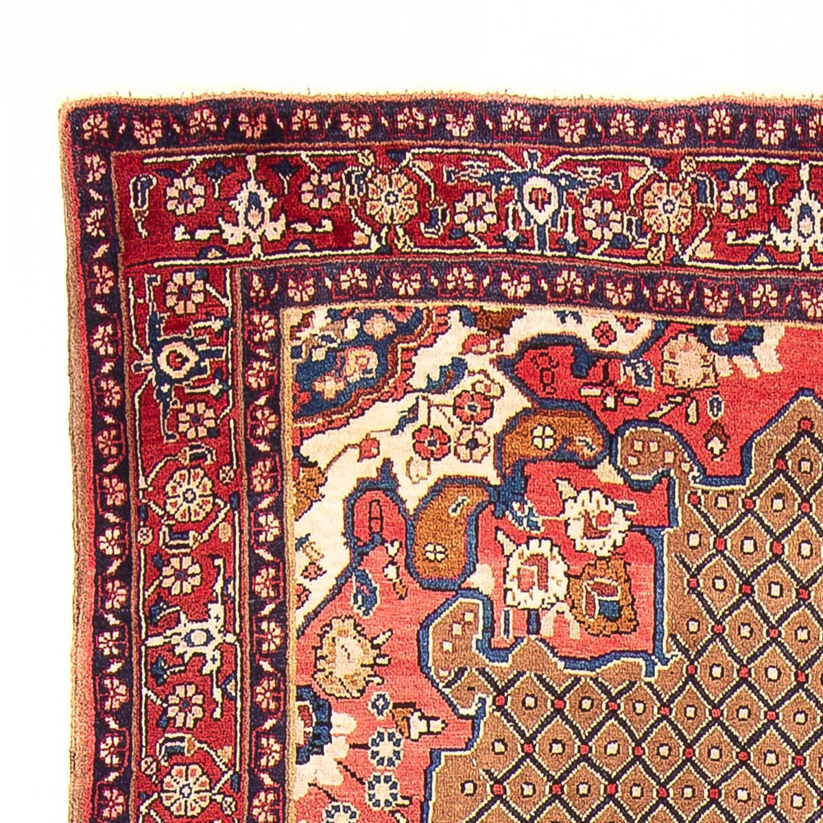 Kolyai Teppich 285x150cm - Perserteppich