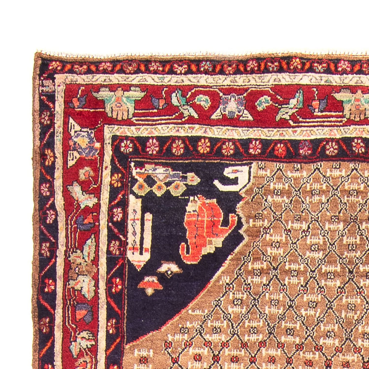 Kolyai Teppich 160x310cm - Perserteppich