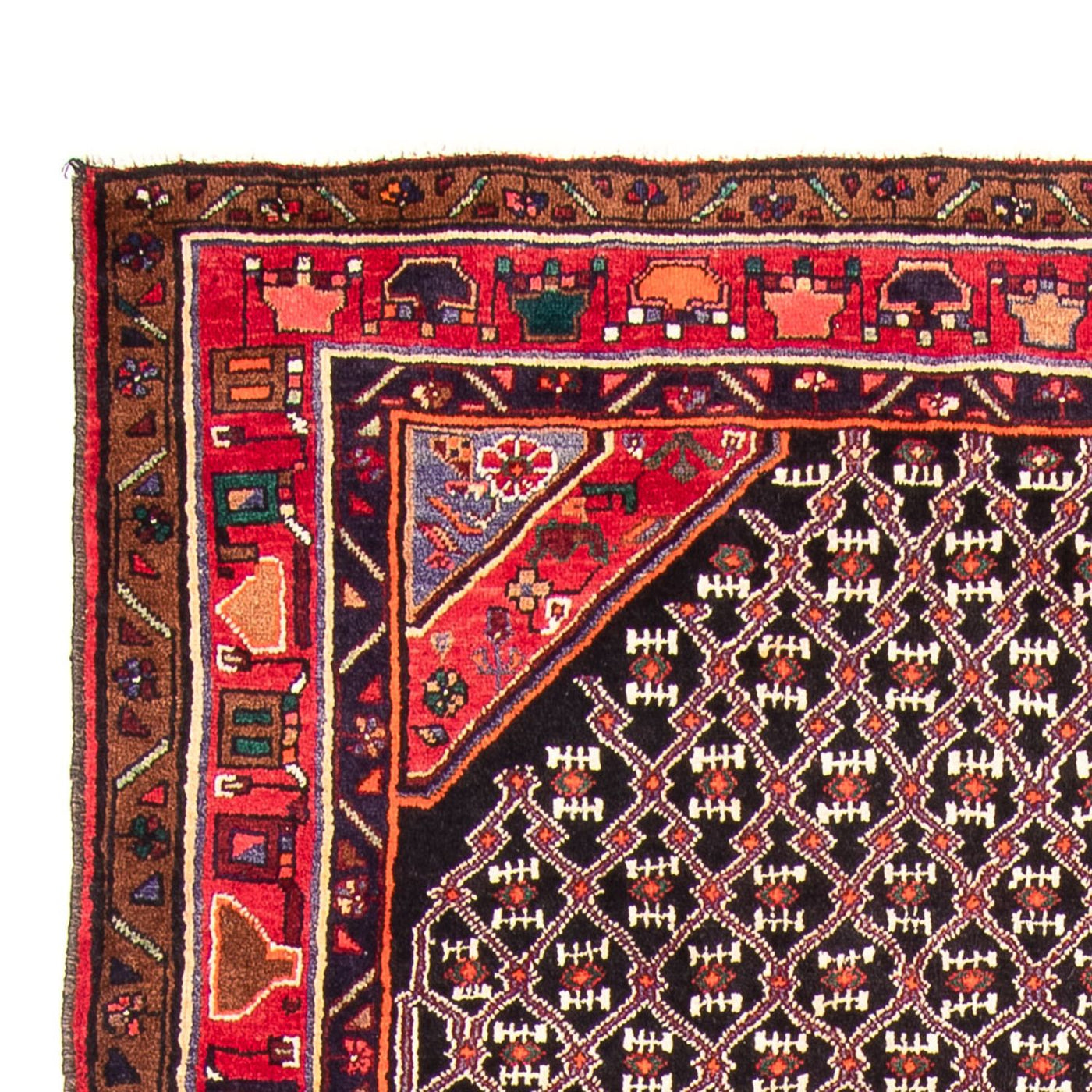 Kolyai Teppich 313x152cm - Perserteppich