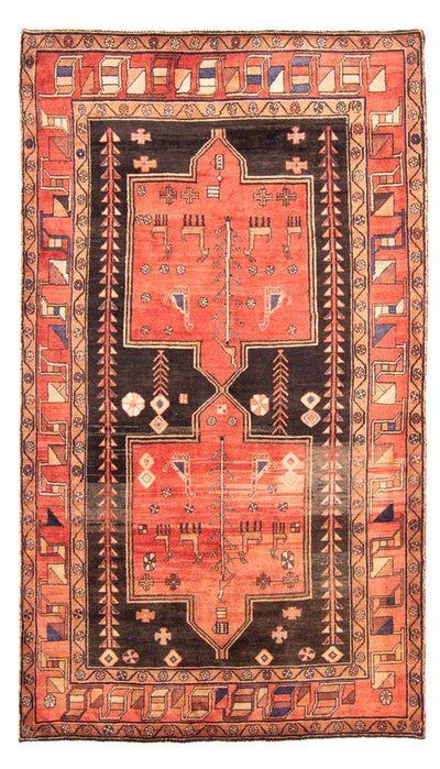 Kolyai Teppich 163x284cm - Perserteppich