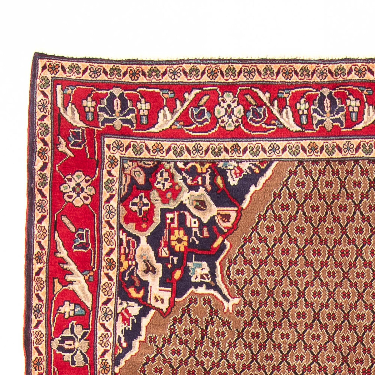 Kolyai Teppich 152x300cm - Perserteppich