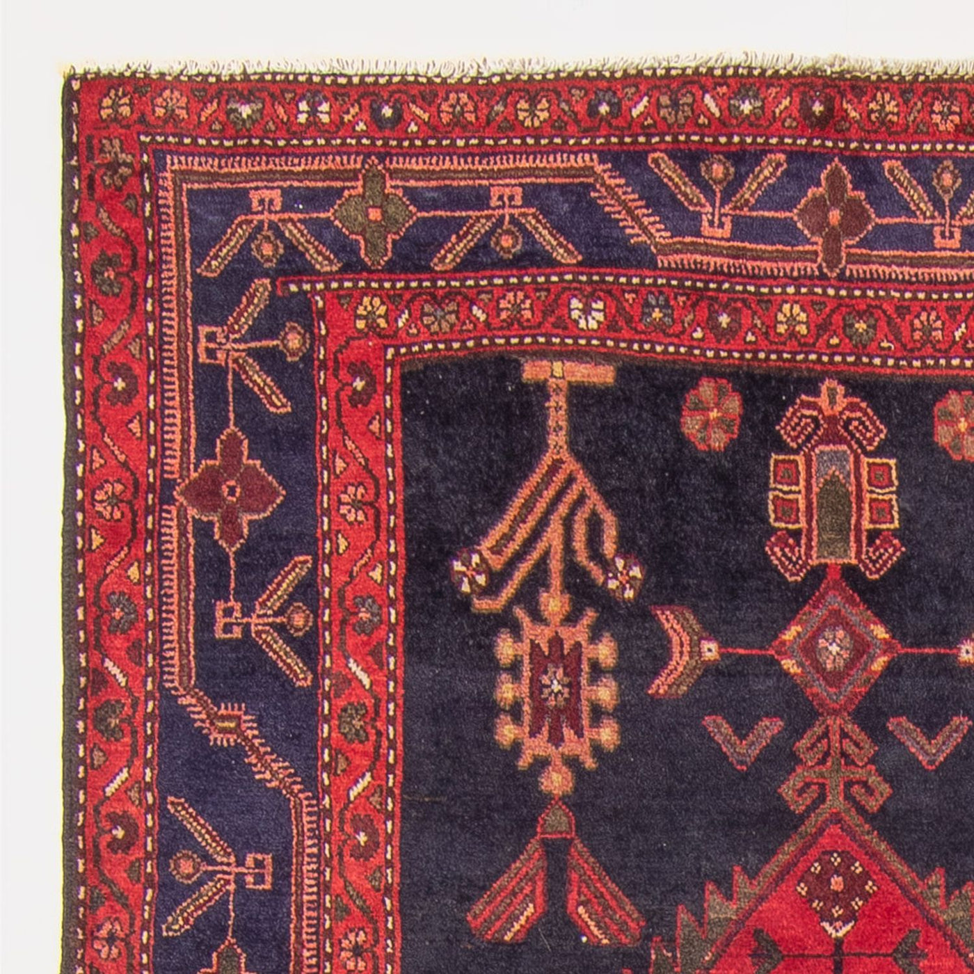 Kolyai Teppich 290x134cm - Perserteppich