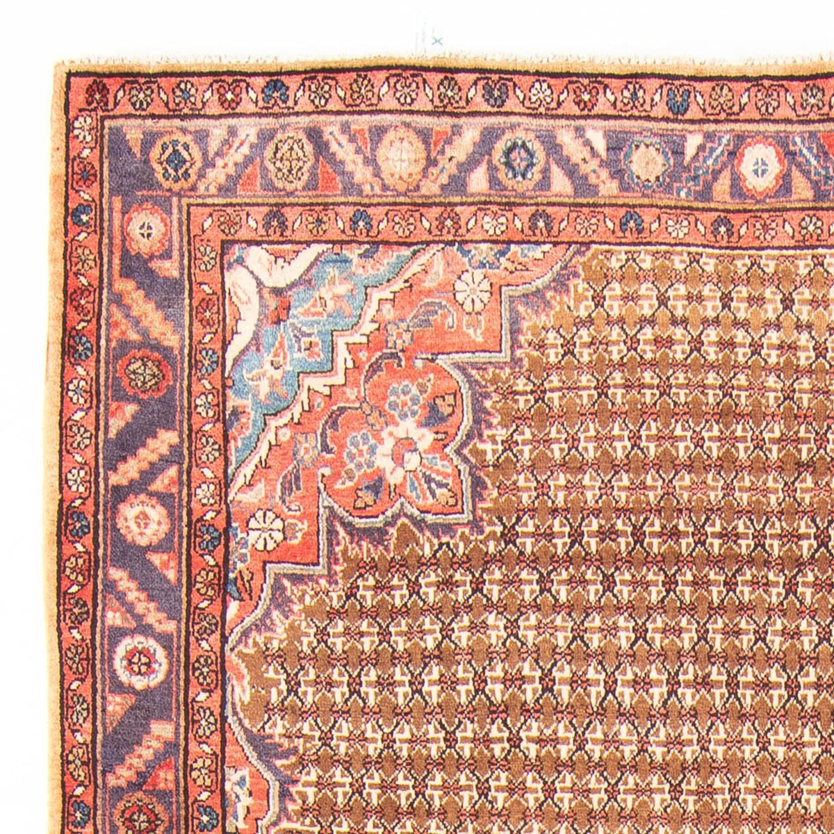 Kolyai Teppich 155x310cm - Perserteppich