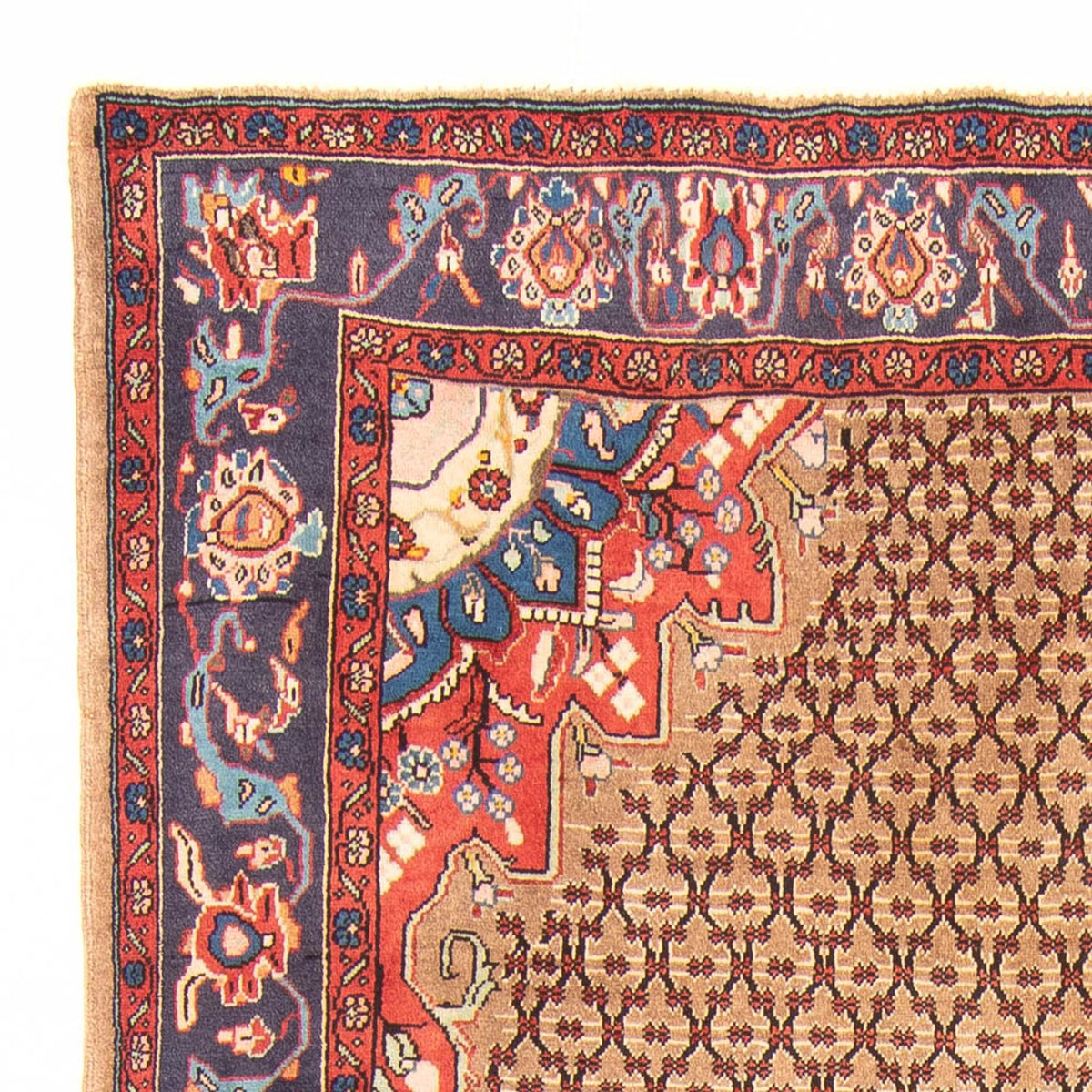 Kolyai Teppich 150x310cm - Perserteppich