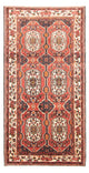 Bachtiar Teppich 300x166cm - Perserteppich