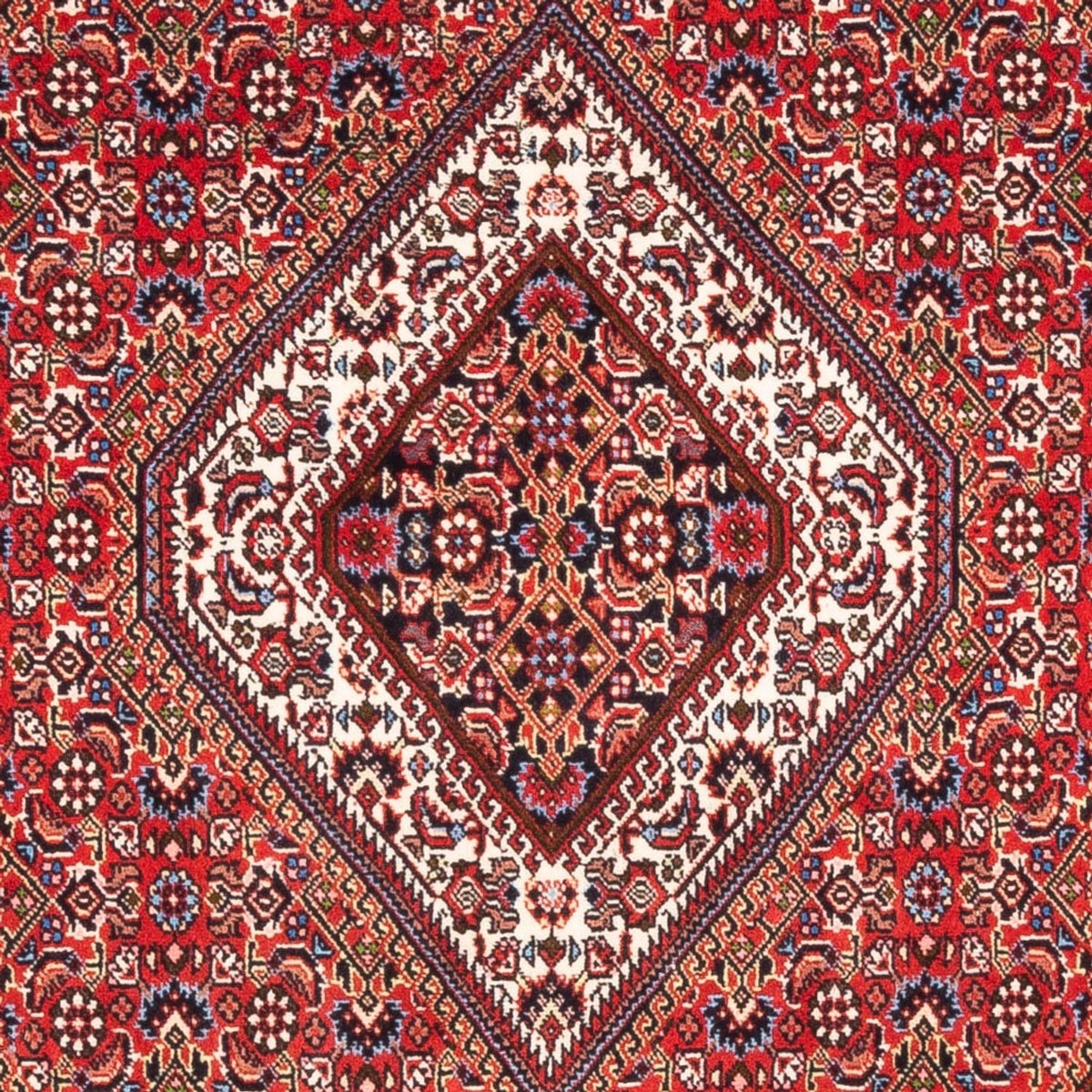 Perserteppich - Bidjar - Royal - 180 x 110 cm - rot
